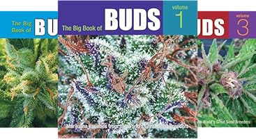 Big Book of Buds (4 book series) Kindle Edition